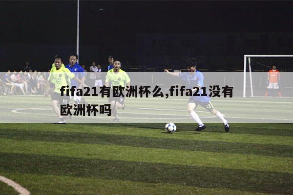 fifa21有欧洲杯么,fifa21没有欧洲杯吗