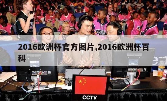 2016欧洲杯官方图片,2016欧洲杯百科