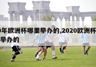 20年欧洲杯哪里举办的,2020欧洲杯在哪举办的