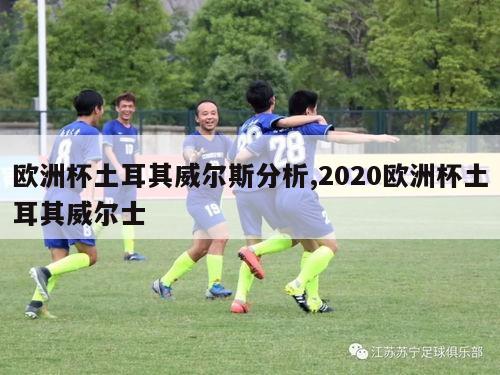 欧洲杯土耳其威尔斯分析,2020欧洲杯土耳其威尔士