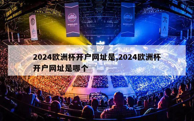 2024欧洲杯开户网址是,2024欧洲杯开户网址是哪个