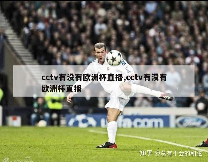 cctv有没有欧洲杯直播,cctv有没有欧洲杯直播