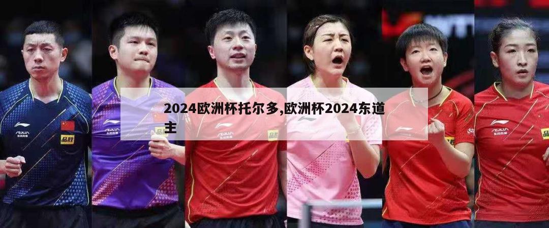 2024欧洲杯托尔多,欧洲杯2024东道主