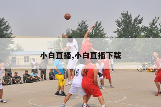 小白直播,小白直播下载