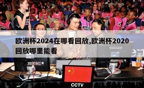 欧洲杯2024在哪看回放,欧洲杯2020回放哪里能看