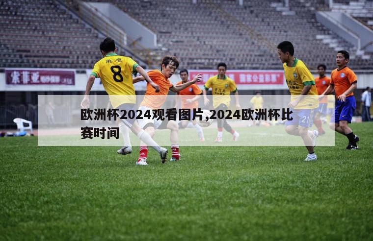 欧洲杯2024观看图片,2024欧洲杯比赛时间