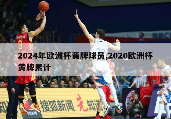 2024年欧洲杯黄牌球员,2020欧洲杯黄牌累计