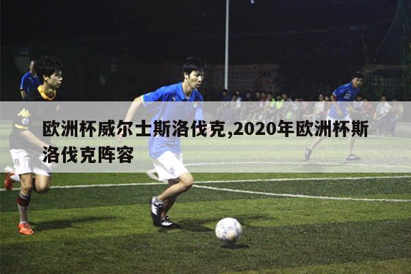 欧洲杯威尔士斯洛伐克,2020年欧洲杯斯洛伐克阵容