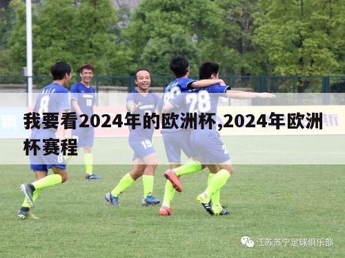 我要看2024年的欧洲杯,2024年欧洲杯赛程