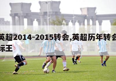 英超2014-2015转会,英超历年转会标王