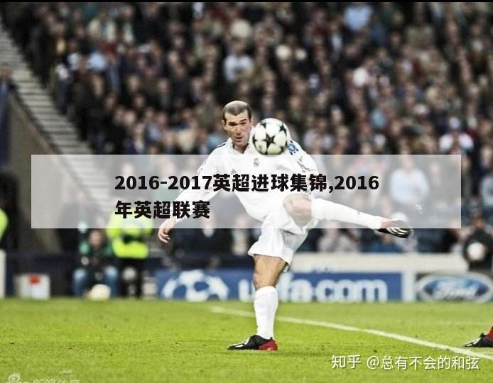 2016-2017英超进球集锦,2016年英超联赛