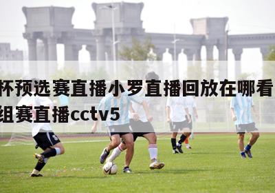 欧洲杯预选赛直播小罗直播回放在哪看,欧洲杯小组赛直播cctv5