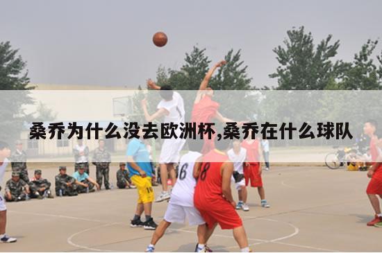 桑乔为什么没去欧洲杯,桑乔在什么球队