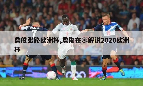 詹俊张路欧洲杯,詹俊在哪解说2020欧洲杯