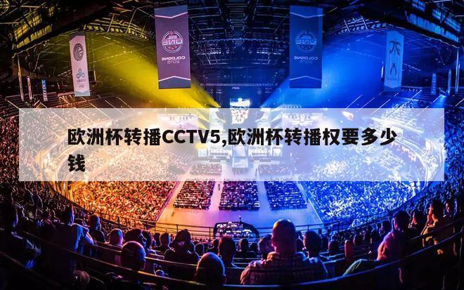 欧洲杯转播CCTV5,欧洲杯转播权要多少钱