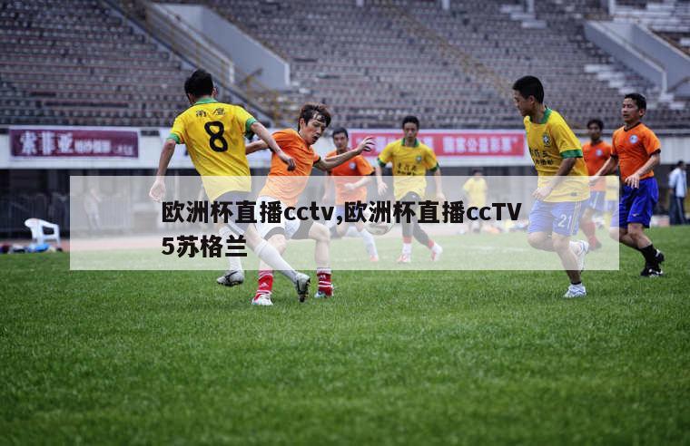 欧洲杯直播cctv,欧洲杯直播ccTV 5苏格兰