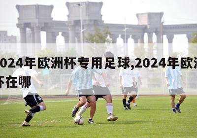 2024年欧洲杯专用足球,2024年欧洲杯在哪